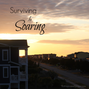 Surviving to Soaring